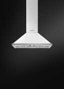 Wall Mount Hoods